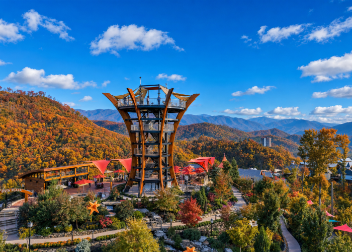 anakeesta-vista-tower-autumn